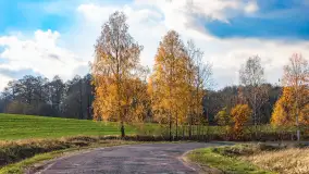 Fotograficzne podsumowanie jesieni 2023 cz. I - zdjęcie 21