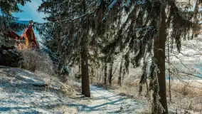 Zima w porcie Łabędzi Ostrów w Pięknej Górze, listopada 2023 r. - zdjęcie 52