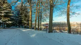 Zima w porcie Łabędzi Ostrów w Pięknej Górze, listopada 2023 r. - zdjęcie 48