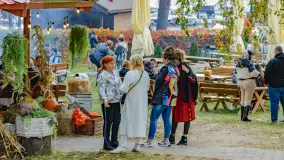 Fotorelacja ze Święta Ziemniaka w Mazurskim raju, październik 2023 r. - zdjęcie 61