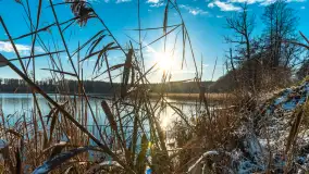 Most Sztynorcki, jeziora Dargin i Kirsajty w zimowej odsłonie, listopad 2023 r. - zdjęcie 27