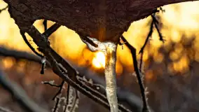 Zimowy zachód słońca nad jeziorem Mój, listopad 2023 r. - zdjęcie 34