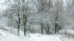 Zwalony most w Kruklankach w zimowej scenerii... bez słońca, listopad 2023 r. - zdjęcie 7