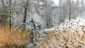 Zwalony most w Kruklankach w zimowej scenerii... bez słońca, listopad 2023 r. - zdjęcie 12