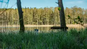 Wiosna w lesie przy Nowym Harszu, maj 2023 r. - zdjęcie 15