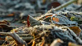 Jesienny biwak ekipy Mazury24 nad Darginem, listopad 2023 r. - zdjęcie 12