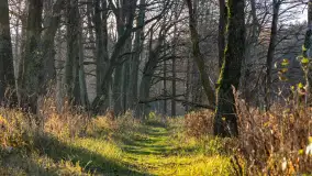 Jesienny biwak ekipy Mazury24 nad Darginem, listopad 2023 r. - zdjęcie 36