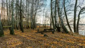 Jesienny biwak ekipy Mazury24 nad Darginem, listopad 2023 r. - zdjęcie 15