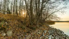 Jesienny biwak ekipy Mazury24 nad Darginem, listopad 2023 r. - zdjęcie 30