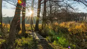 Jesienny biwak ekipy Mazury24 nad Darginem, listopad 2023 r. - zdjęcie 1