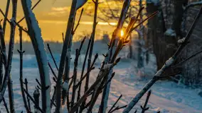 Wschód słońca w okolicach wsi Podlasie, grudzień 2023 r. - zdjęcie 25