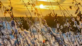 Wschód słońca w okolicach wsi Podlasie, grudzień 2023 r. - zdjęcie 14