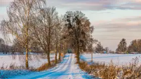 Wschód słońca w okolicach wsi Podlasie, grudzień 2023 r. - zdjęcie 24