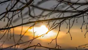 Wschód słońca w okolicach wsi Podlasie, grudzień 2023 r. - zdjęcie 30