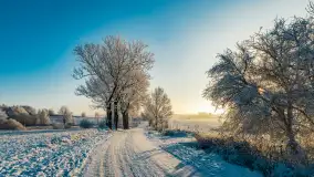 Zimowy poranek w okolicach Wopławek k/Kętrzyna - zdjęcie 11