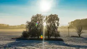 Zimowy poranek w okolicach Wopławek k/Kętrzyna - zdjęcie 22