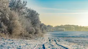 Zimowy poranek w okolicach Wopławek k/Kętrzyna - zdjęcie 36