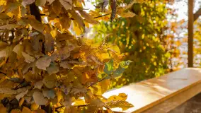 Jesień w Mazurskim Raju nad jeziorem Bełdany, listopad 2023 r. - zdjęcie 7