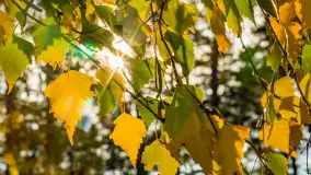 Jesień w Mazurskim Raju nad jeziorem Bełdany, listopad 2023 r. - zdjęcie 9