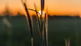 Mazury 2023, na różnych zdjęciach z szuflady - zdjęcie 5