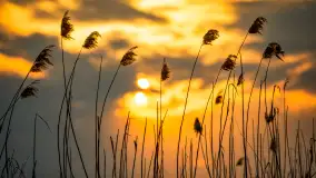 Mazury 2023, na różnych zdjęciach z szuflady - zdjęcie 27