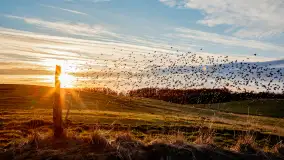 Zwierzęta i ptaki na zdjęciach z szuflady, 2023 rok - zdjęcie 23