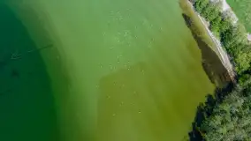 Zwierzęta i ptaki na zdjęciach z szuflady, 2023 rok - zdjęcie 19