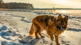 Uroki zimy nad jeziorem Dargin w porcie Dziki Harsz - zdjęcie 24