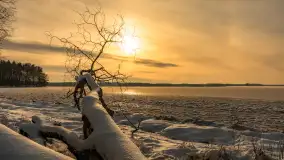 Uroki zimy nad jeziorem Dargin w porcie Dziki Harsz - zdjęcie 18