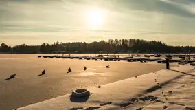 Stranda w mrozie i śniegu, styczeń 2024 r. - zdjęcie 14