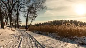 Stranda w mrozie i śniegu, styczeń 2024 r. - zdjęcie 32