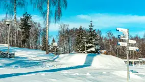 Stranda w mrozie i śniegu, styczeń 2024 r. - zdjęcie 21