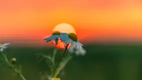 Zachód słońca na wschodnich obrzeżach Kętrzyna, sierpień 2023 r. - zdjęcie 16