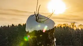 Zimowy spacer nad jeziorem Gołdopiwo niedaleko Żabinki, styczeń 2024 r. - zdjęcie 22
