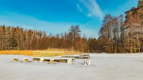 Zimowy spacer nad jeziorem Gołdopiwo niedaleko Żabinki, styczeń 2024 r. - zdjęcie 8