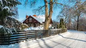 Zima nad jeziorem Dziewiszewskie w Dziewiszowie, styczeń 2024 r. - zdjęcie 33