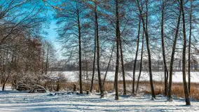 Zima nad jeziorem Dziewiszewskie w Dziewiszowie, styczeń 2024 r. - zdjęcie 21