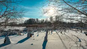 Zima nad jeziorem Dziewiszewskie w Dziewiszowie, styczeń 2024 r. - zdjęcie 12