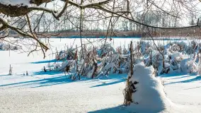 Zima nad jeziorem Dziewiszewskie w Dziewiszowie, styczeń 2024 r. - zdjęcie 28