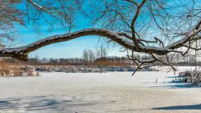 Zima nad jeziorem Dziewiszewskie w Dziewiszowie, styczeń 2024 r. - zdjęcie 30