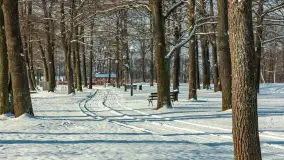 Jak zimuje port w Sztynorcie? Zobaczcie zimową wersję ze stycznia 2024 r. - zdjęcie 39