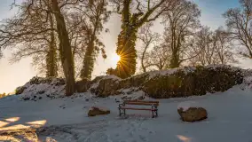 Zamek Krzyżacki, a teraz kościół w Bezławkach w zimowej scenerii, styczeń 2024 r. - zdjęcie 7
