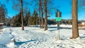 Port Korektywa w zimowej scenerii, styczeń 2024 r. - zdjęcie 31