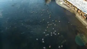 Pisz w zimowej scenerii, styczeń 2024 r. - zdjęcie 24