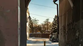 Pisz w zimowej scenerii, styczeń 2024 r. - zdjęcie 22