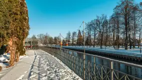 Pisz w zimowej scenerii, styczeń 2024 r. - zdjęcie 33