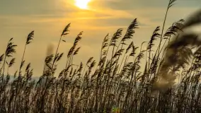 Jezioro Tajty i wieś Wrony przed zachodem słońca, styczeń 2024 r. - zdjęcie 15