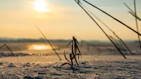 Jezioro Tajty i wieś Wrony przed zachodem słońca, styczeń 2024 r. - zdjęcie 12