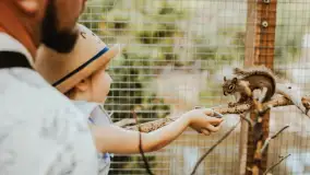 Zdjęcia: Odkryj Niezwykłe Zimowe Ferie w Papugarni Mazury! - zdjęcie 14