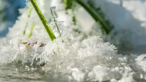 Zimowa rzeka Dajna niedaleko Wilkowa, styczeń 2024 r. - zdjęcie 34